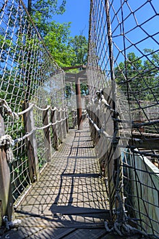 Paths in the zoo are fenced with a net.