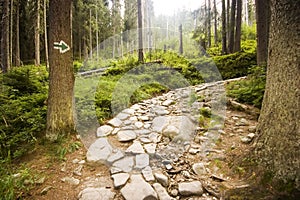 Pathway