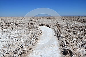 Pathway among the Amazing Salar de Atacama, Chilean Salt Flat in Antofagasta Region, Northern Chile photo