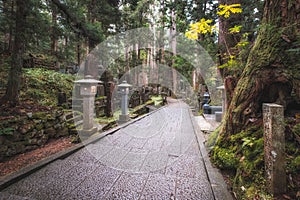 Pathway in Ancient Cemetery inside a Forest, Okunoin Cemetery, Wakayama, Japan