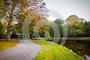 pathway in an autumn parks nature colors pond and background trees