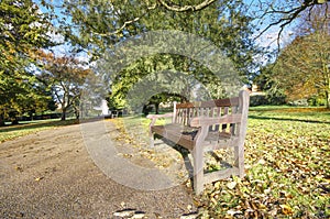 Pathway bench in a public park