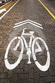 Pathway for bicycle with white bicycle lane