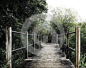 Pathway, Boardwalk of old wooden flooring in a park State of Michigan near the lake. Old photo