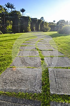 Pathway in botanic garden