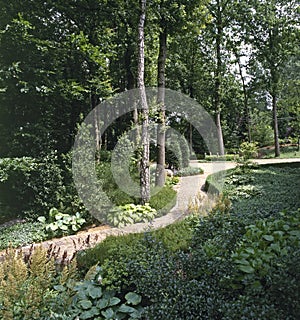 Pathway in botanic wooden garden