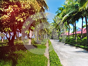 Pathway and bungalows in tropical garden ay the sunny day- abstract travel scene