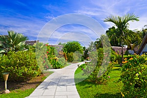 Pathway and bungalows in tropical park