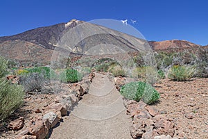 Pathway in CaÃ±adas del Teide National park photo