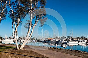 Pathway Through Chula Vista Bayfront Park and Marina