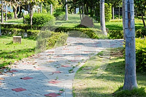 Pathway in city park photo