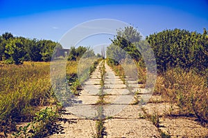 Pathway of concrete tiles, overgrown with grass. Post apocalypse concept