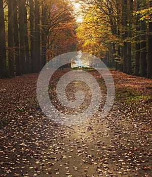 Pathway and country house in hazy autumn forest