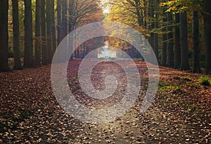 Pathway and country house in hazy autumn forest