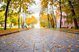 Pathway covered by yellow leaves in autumnal park. Beautiful park in fall season. Peaceful autumn trees with falling