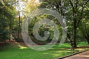 Pathway, fallen leaves, green grass and trees in beautiful public city park on autumn day