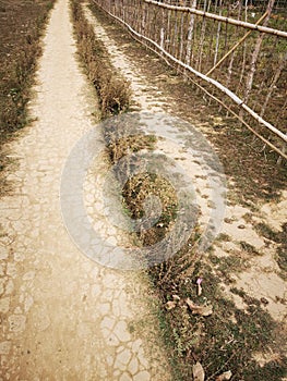 A pathway in a farm