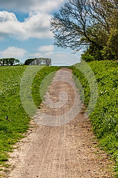 A Pathway through Fields