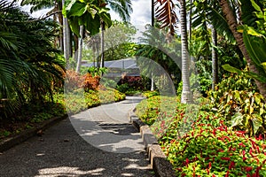 A Pathway through the Garden