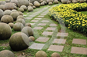 A pathway in the garden