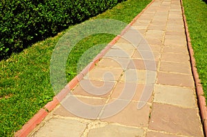 Pathway in Garden with concrete bumps.