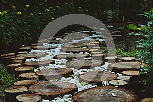 Pathway in garden,green lawns with Wooden floor pathways photo