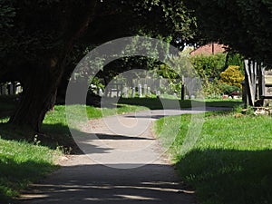 Pathway through a grave yard