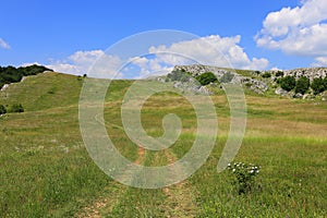 pathway on green mountain meadow