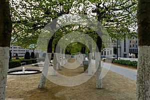 A pathway with green trees and sad with a water fountain at the side in The carillon at Mont des Arts,The Jacquemart and his tenor