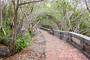 Pathway on the hill at Phra Nakhon KhiriKhao Wang or hill with palace,Phetchaburi,Thailand.