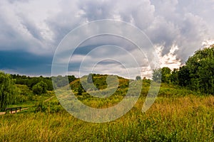 Pathway on a hill with wildflowers