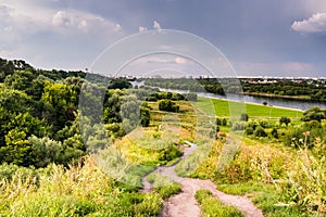 Pathway on a hill with wildflowers