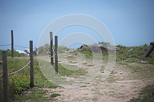 Pathway on a hill beside a wooden makeshift fence overlooking blue skies and beach