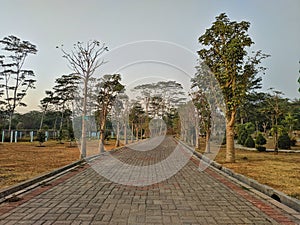 Pathway in the Indrokilo botanical garden, Boyolali, Indonesia. Stepping stones in the grass lawn, the way to success and mileston