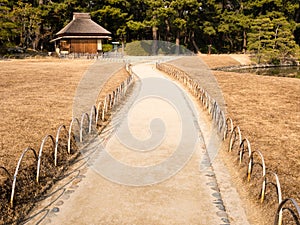 Pathway in a Japanese garden