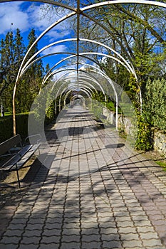 Pathway in Jesuits park photo