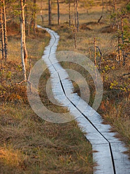 Pathway in the Kakerdaja Bog