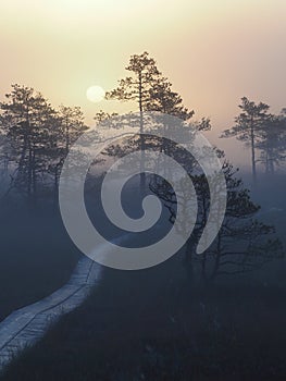 Pathway in Kakerdaja Bog
