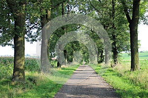 Pathway between KobeÃâ¢ice and Albertovec