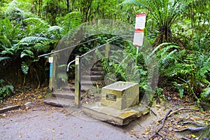 Pathway in Kokoda, Melbourne, Australia