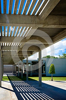 Pathway and the lath roof