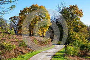 A Pathway Leading Into an Autumn Forest at Valley Forge National Historical Park