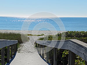 Sanibel beach scene