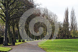 Pathway in a local park