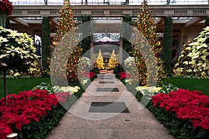Pathway in the Longwood Gardens surrounded by trees with Christmas lights in Pennsylvania
