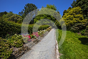 Pathway in the Lost Gardens of Heligan in Cornwall, UK