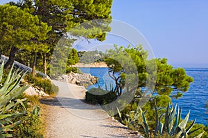 Pathway at Makarska, Croatia