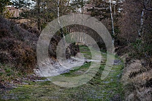 Pathway in the middle of a forest leading to an adventurous walk in the woods