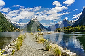 Pathway in the Milford Sound