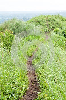 Pathway on mount Batulao, Philippines